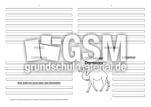 Dromedar-Faltbuch-vierseitig-1.pdf